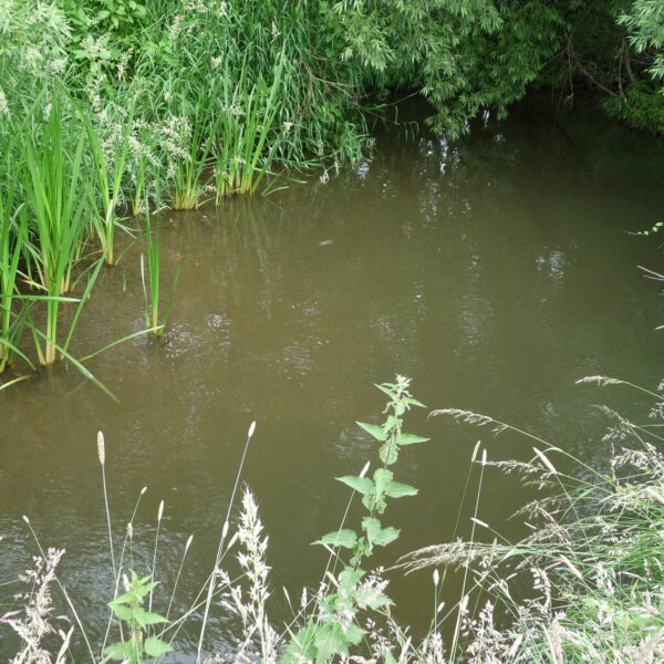 The River Blithe at Hamstall fishery in Staffordshire