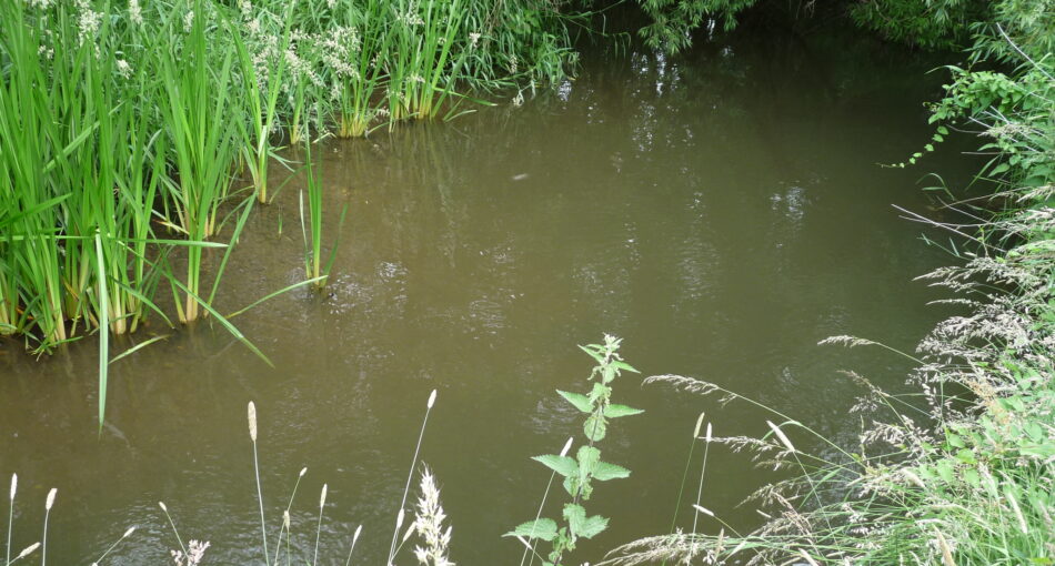 The River Blithe at Hamstall fishery in Staffordshire