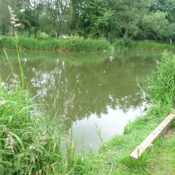 Specimen Lake at Hamstall fishery in Staffordshire