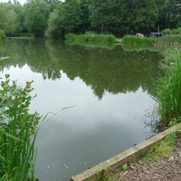 Specimen Lake at Hamstall fishery in Staffordshire