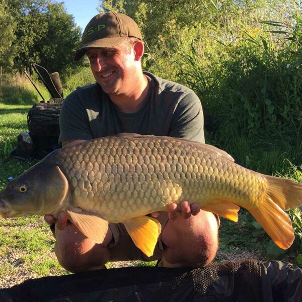 An Avalon Fisheries Heath Lake carp