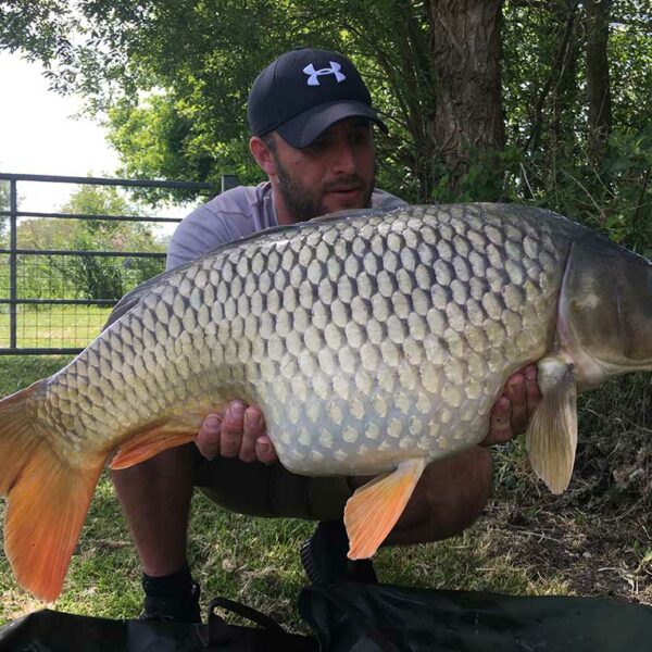 Another Avalon Fisheries Heath Lake carp