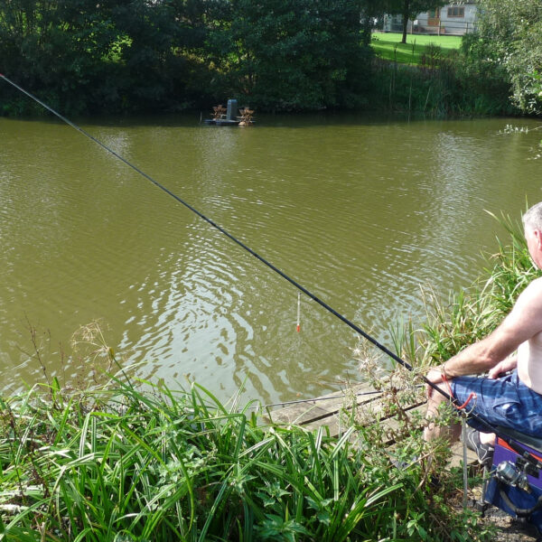 Furnace Mill Fishery in the Wyre Forest near Kidderminster