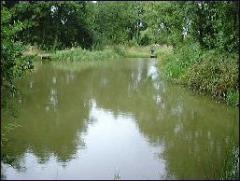 Flight Pool at Woods Farm Fishery