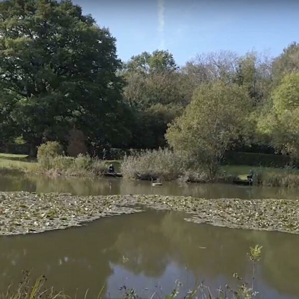 Milton Lake at Bury Hill Fisheries in Dorking, Surrey