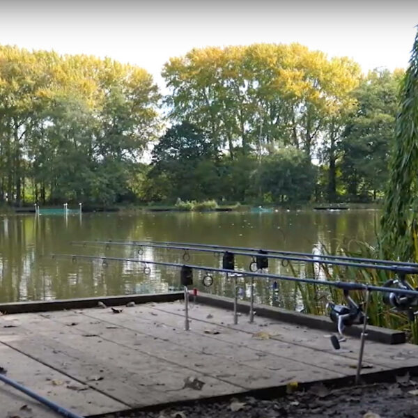 Milton Lake at Bury Hill Fisheries in Dorking, Surrey