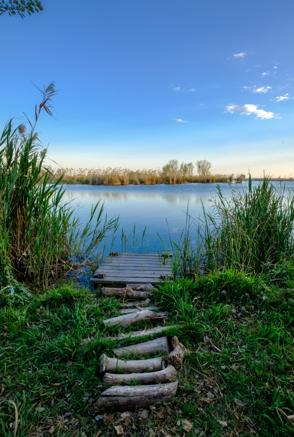 Fishing in West Sussex