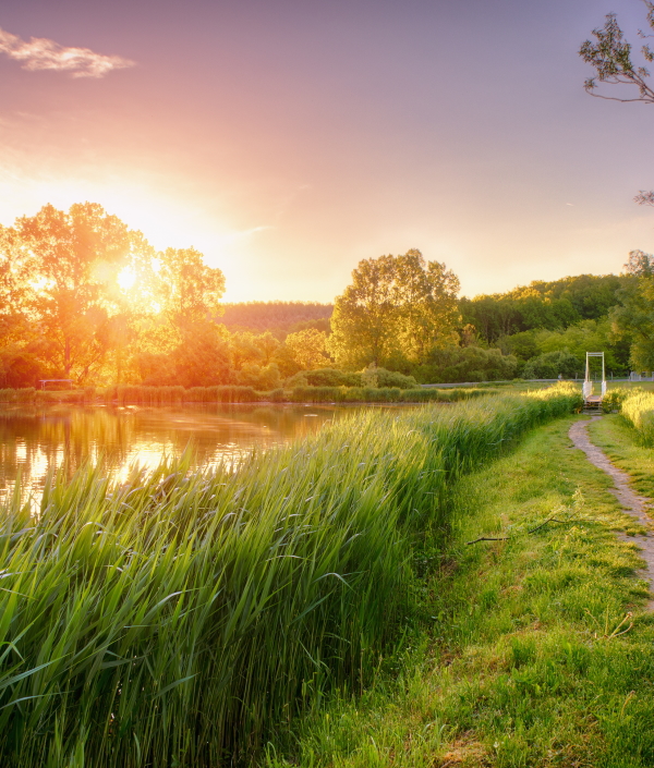 Fishing in Wiltshire