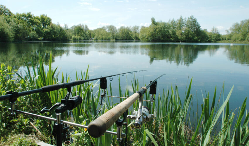 Fishing Norfolk Broads