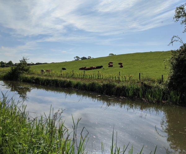 Fishing in Leicestershire