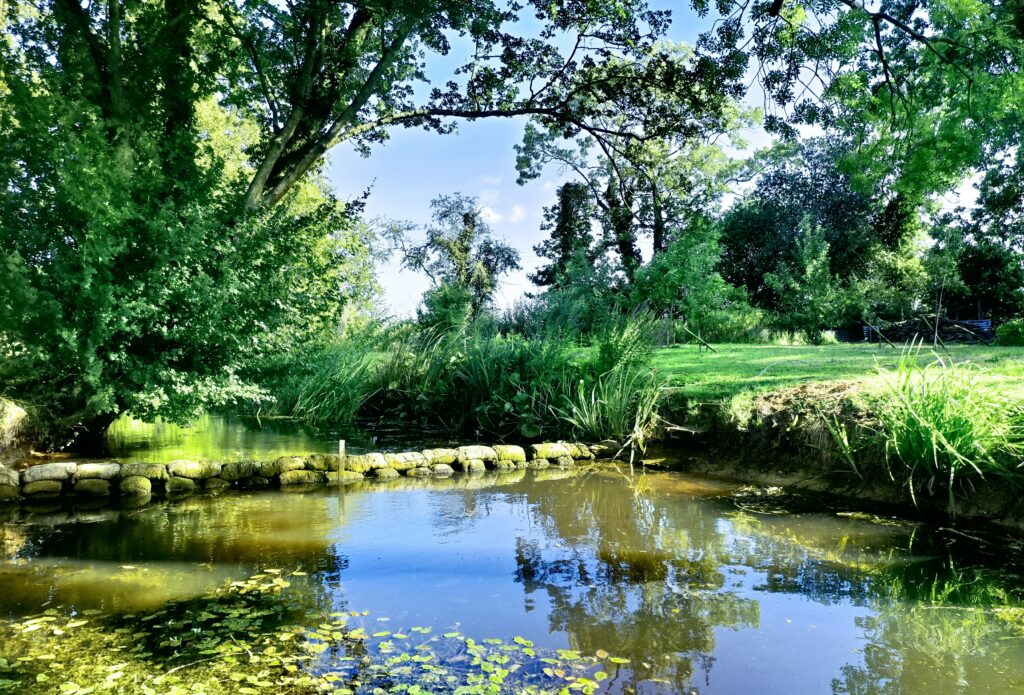 Suffolk Fisheries.co.uk