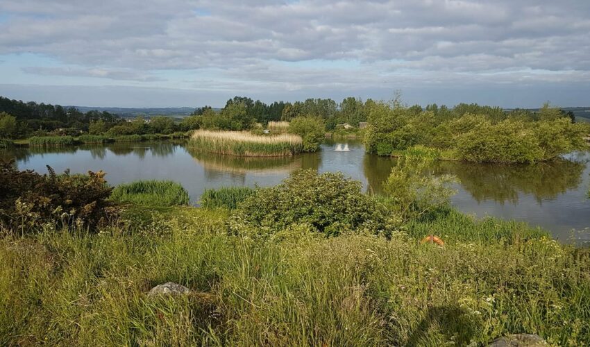 Angel Of The North Fishing Lakes