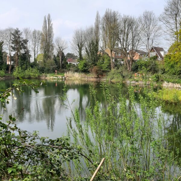 Little Pit Fishery in Hinckley, Leicestershire