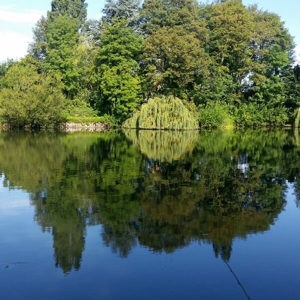 Little Pit Fishery in Hinckley, Leicestershire