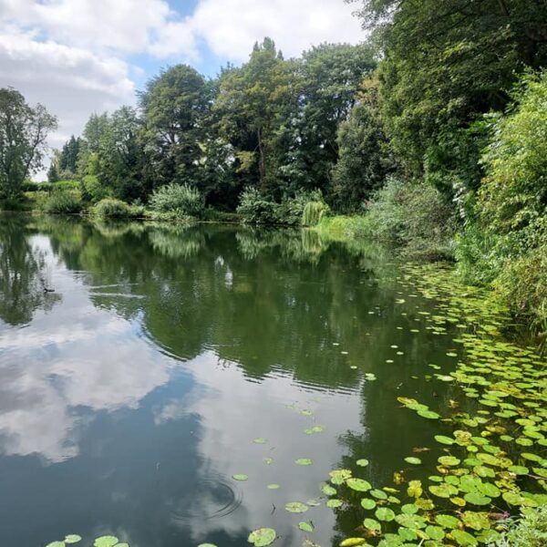 Little Pit Fishery in Hinckley, Leicestershire