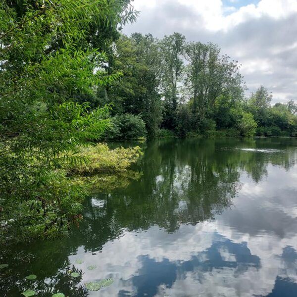 Little Pit Fishery in Hinckley, Leicestershire