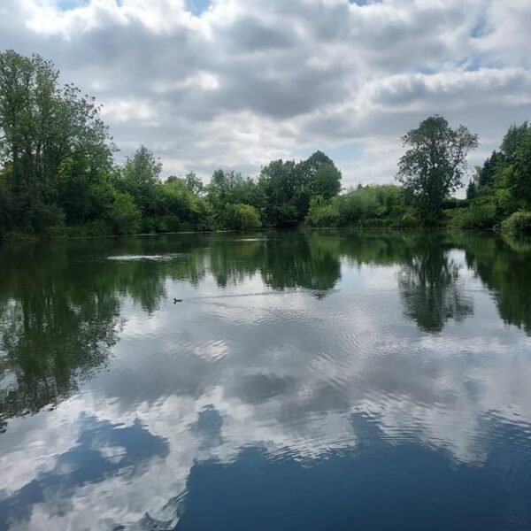 Little Pit Fishery in Hinckley, Leicestershire