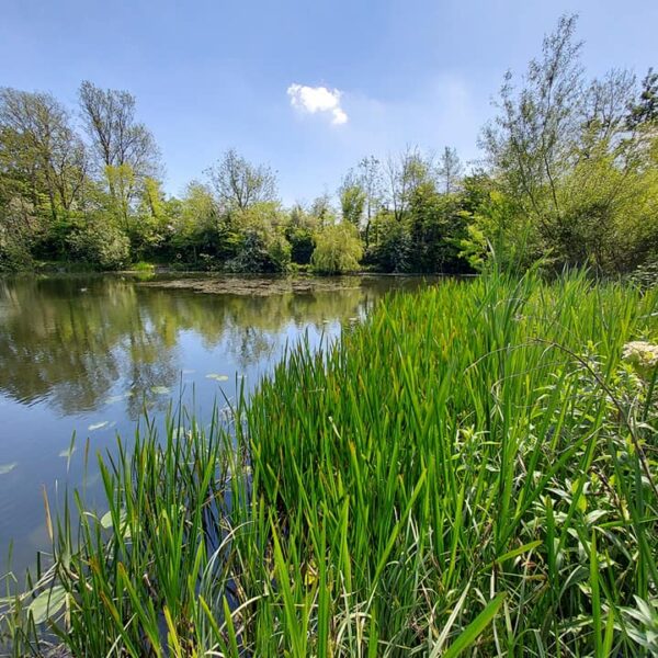 Little Pit Fishery in Hinckley, Leicestershire