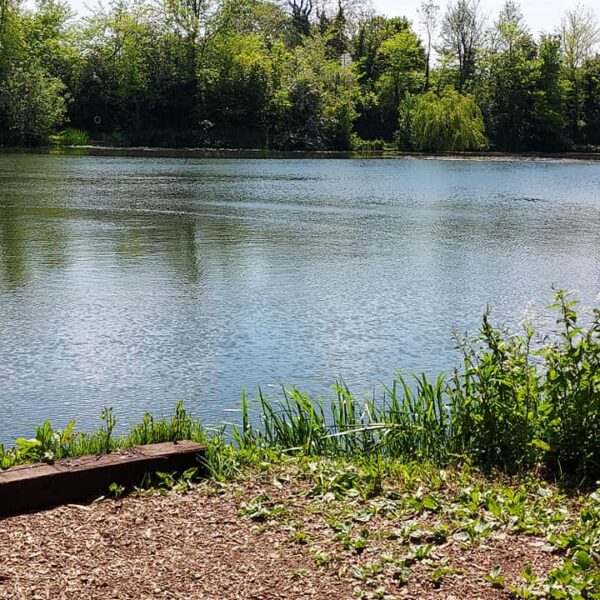 Little Pit Fishery in Hinckley, Leicestershire