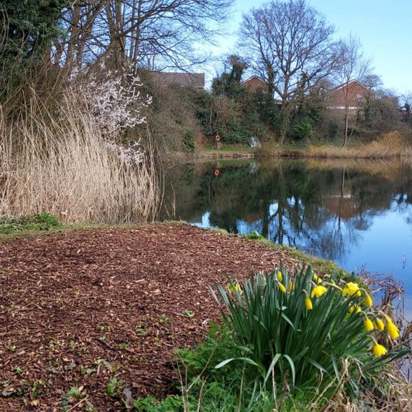 Little Pit Fishery in Hinckley, Leicestershire