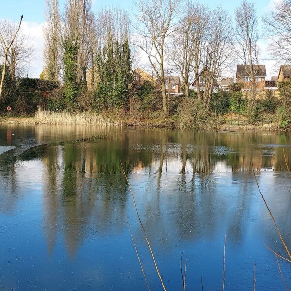 Little Pit Fishery in Hinckley, Leicestershire