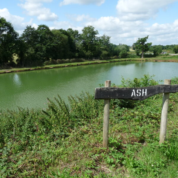 Fishing at Lower Broadheath