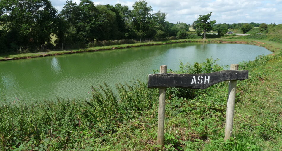 Fishing at Lower Broadheath