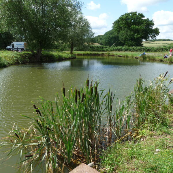 Fishing at Lower Broadheath