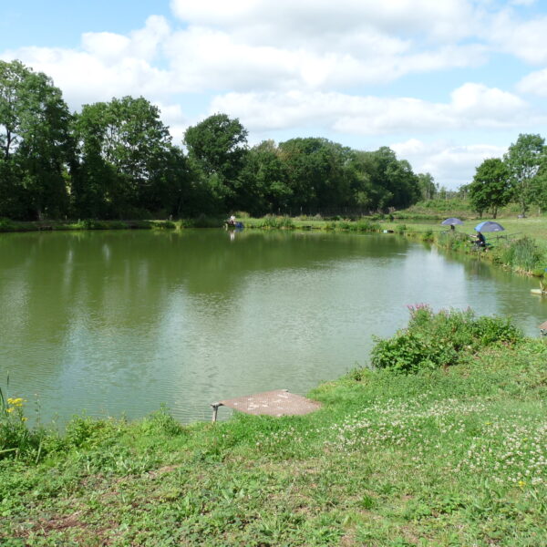 Fishing at Lower Broadheath