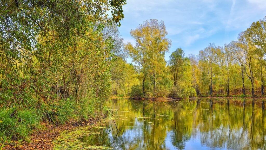 Coombe Abbey Park Fishery