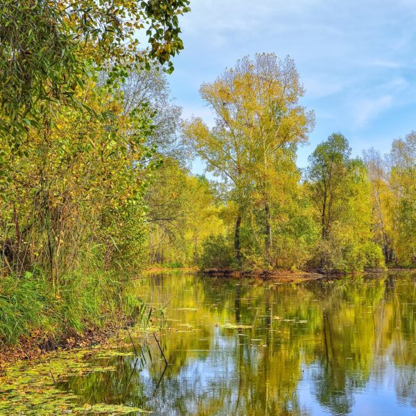 Midlands Fisheries.co.uk