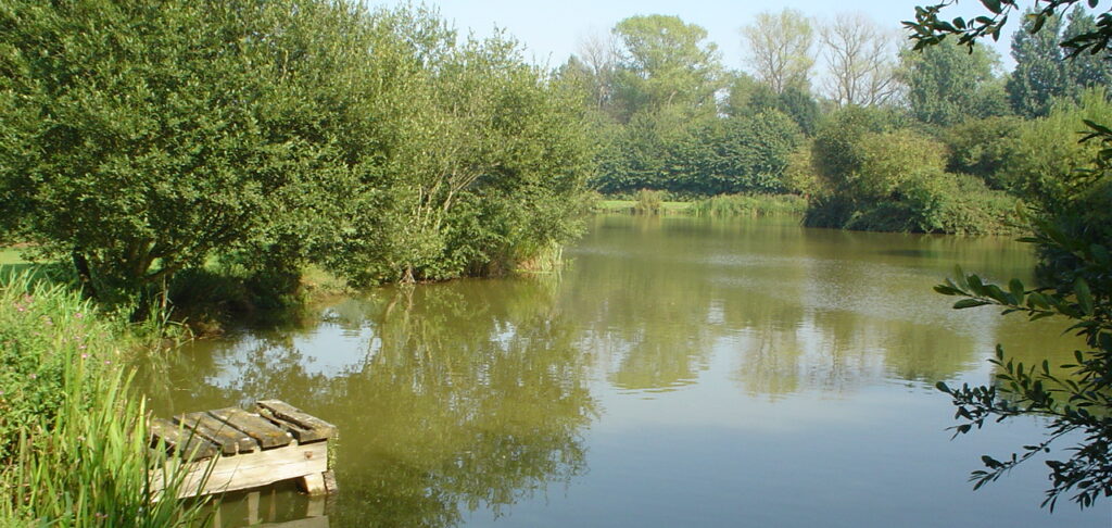 Cottington Lakes Fishery