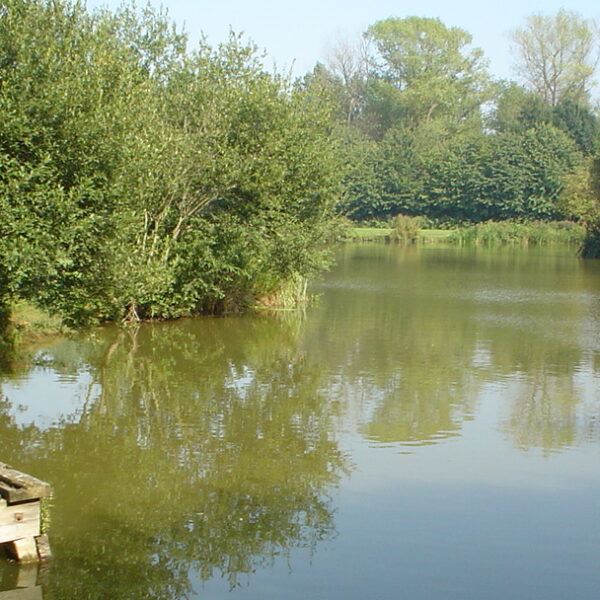 Cottington Lakes Fishery