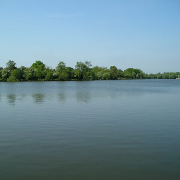 Fishing at Earlswood Lakes