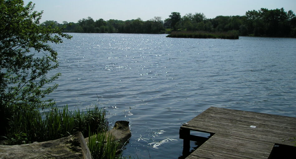 Fishing at Earlswood Lakes