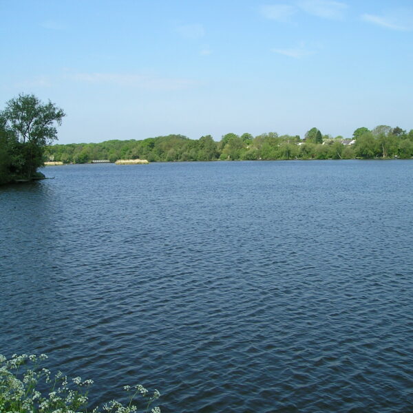 Fishing at Earlswood Lakes