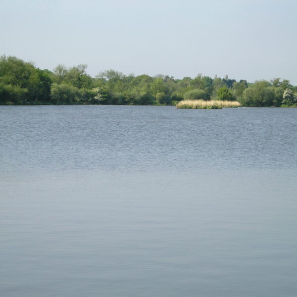 Fishing at Earlswood Lakes