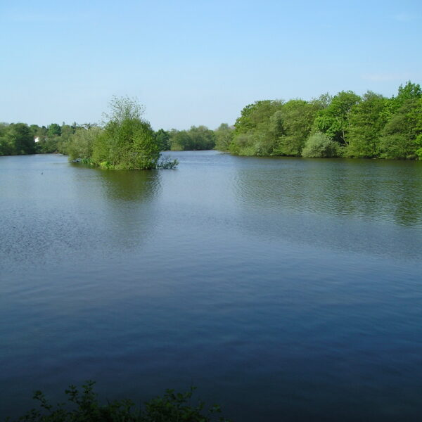 Fishing at Earlswood Lakes