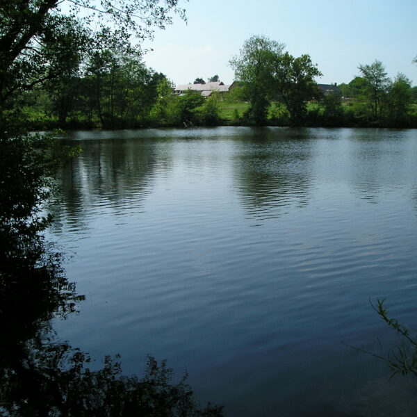 Fishing at Earlswood Lakes