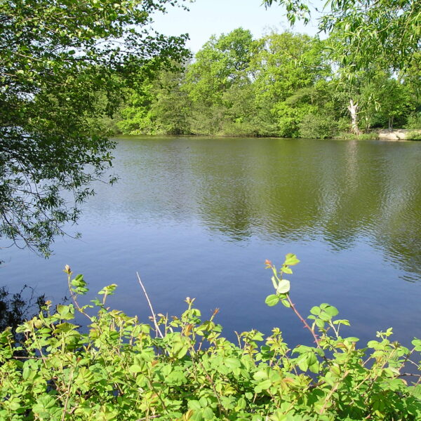 Fishing at Earlswood Lakes