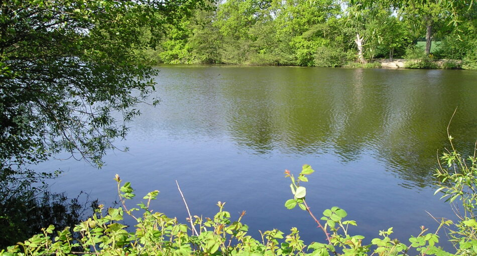 Fishing at Earlswood Lakes