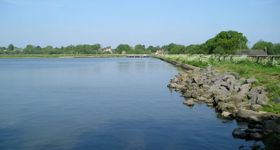 Fishing at Earlswood Lakes