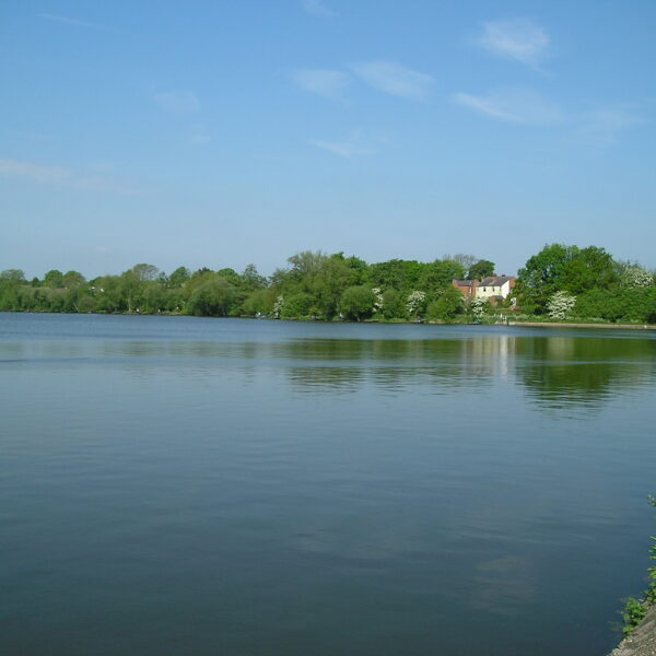 Fishing at Earlswood Lakes