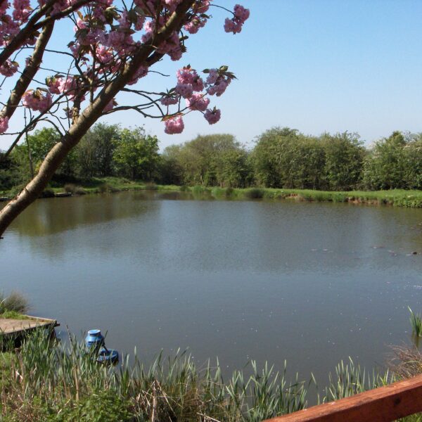 Fishing at Milton Pools