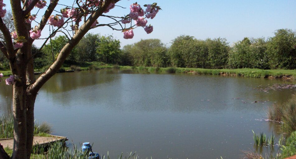 Fishing at Milton Pools