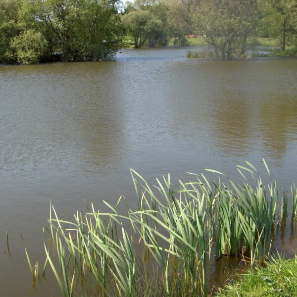 Fishing at Milton Pools