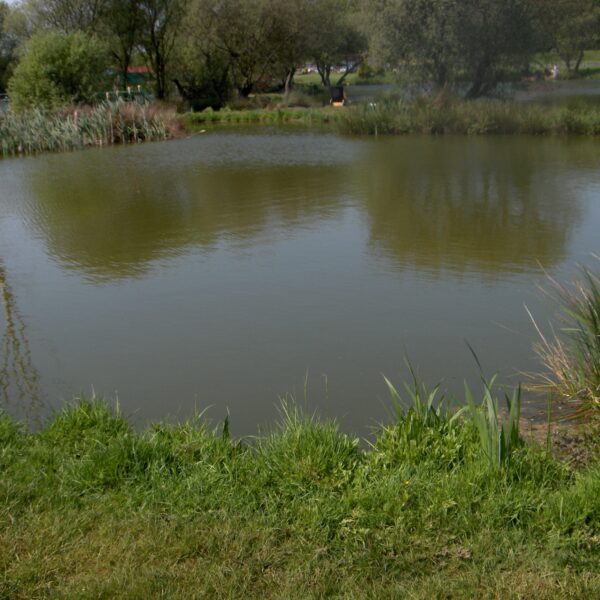 Fishing at Milton Pools