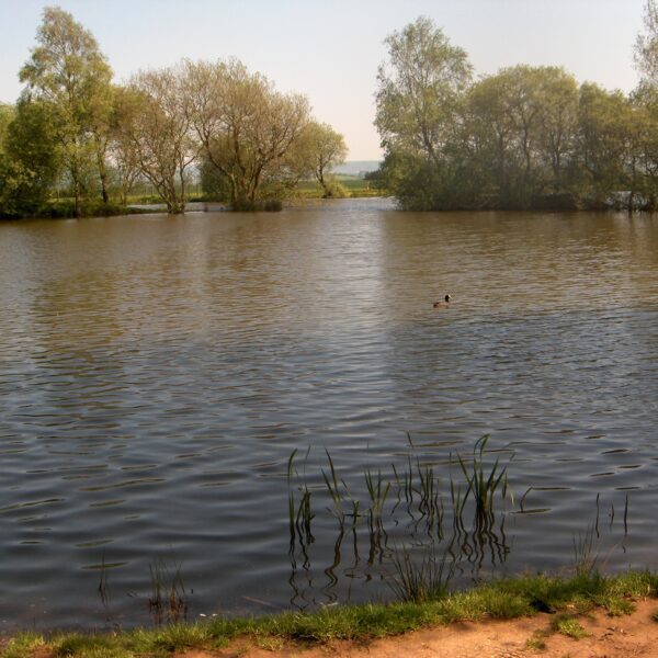 Fishing at Milton Pools