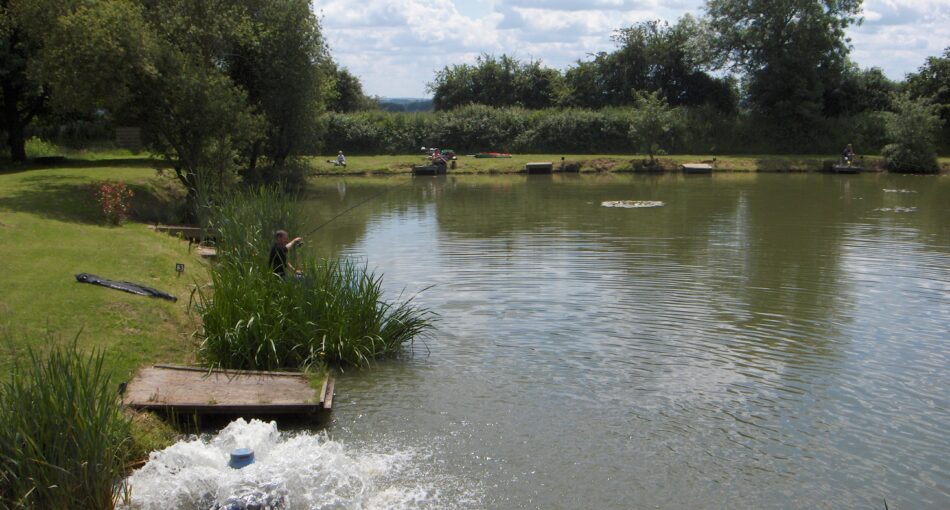 Fishing at Milton Pools