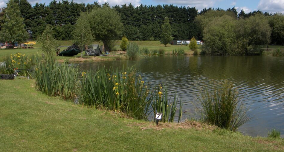 Fishing at Milton Pools